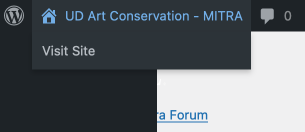 Screen shot showing the "Visit Site" option in the "UD Art Conservation - MITRA" menu